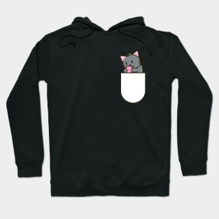 Cat playing in pocket Hoodie